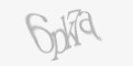 Codul de securitate